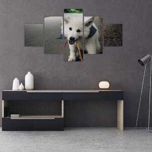 Obraz białego psa (125x70 cm)