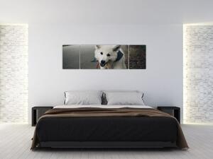 Obraz białego psa (170x50 cm)