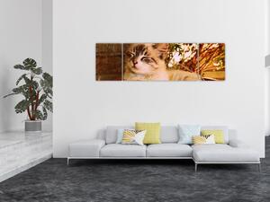 Obraz kota w doniczce (170x50 cm)