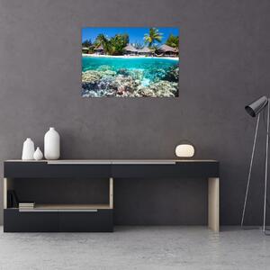 Obraz plaży na tropikalnej wyspie (70x50 cm)