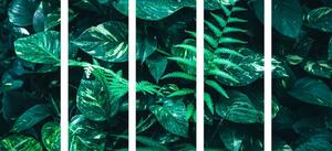 5-częściowy obraz bujne tropikalne liście