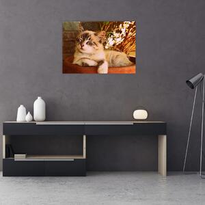 Obraz kota w doniczce (70x50 cm)
