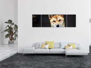 Obraz psa (170x50 cm)