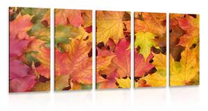 5-częściowy obraz liście jesieni