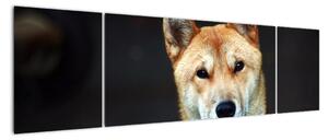 Obraz psa (170x50 cm)