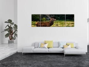 Obraz jelenia (170x50 cm)