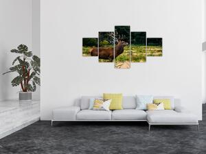 Obraz jelenia (125x70 cm)