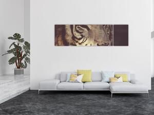 Obraz tygrysa (170x50 cm)