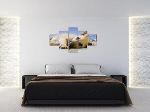 Obraz leżącego szczeniaka (125x70 cm)