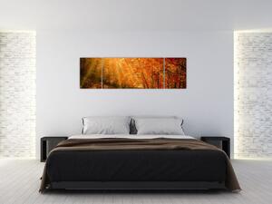 Obraz jesiennego lasu (170x50 cm)