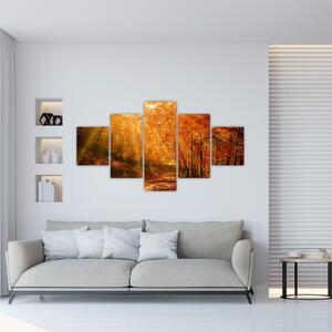 Obraz jesiennego lasu (125x70 cm)