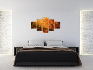 Obraz jesiennego lasu (125x70 cm)