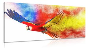 Obraz lot papugi