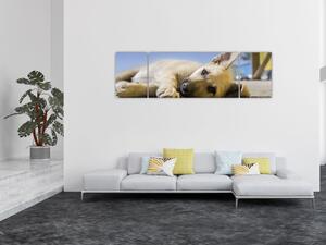 Obraz leżącego szczeniaka (170x50 cm)