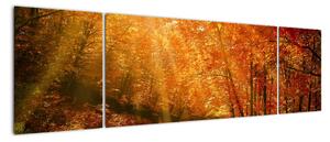 Obraz jesiennego lasu (170x50 cm)