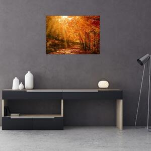 Obraz jesiennego lasu (70x50 cm)