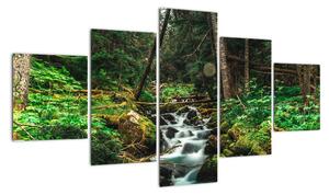 Obraz strumienia w lesie (125x70 cm)