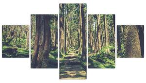 Obraz ścieżki pomiędzy drzewami (125x70 cm)