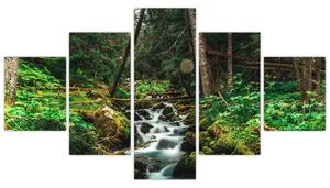 Obraz strumienia w lesie (125x70 cm)
