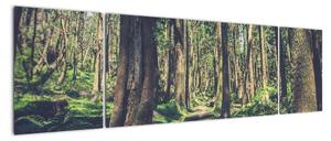 Obraz ścieżki pomiędzy drzewami (170x50 cm)