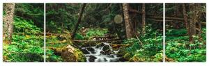 Obraz strumienia w lesie (170x50 cm)