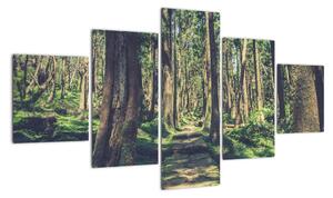 Obraz ścieżki pomiędzy drzewami (125x70 cm)