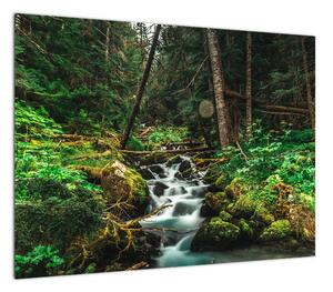 Obraz strumienia w lesie (70x50 cm)
