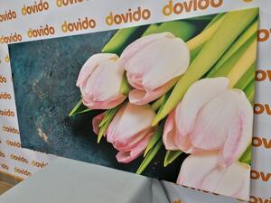 Obraz pastelowe różowe tulipany