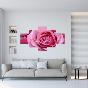 Obraz róży (125x70 cm)