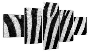 Obraz skóry zebry (125x70 cm)