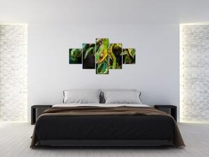 Obraz kameleona (125x70 cm)
