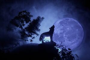 Obraz wilk w pełni księżyca