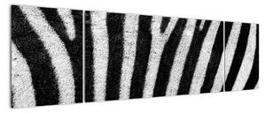 Obraz skóry zebry (170x50 cm)