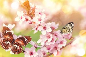 Obraz wiosenne kwiaty z egzotycznymi motylami