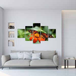 Obraz motyla na kwiatku (125x70 cm)