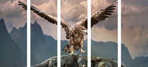 5-częściowy obraz orzeł z rozpostartymi skrzydłami nad górami