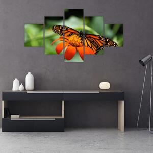 Obraz motyla na kwiatku (125x70 cm)