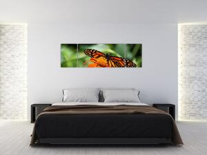 Obraz motyla na kwiatku (170x50 cm)