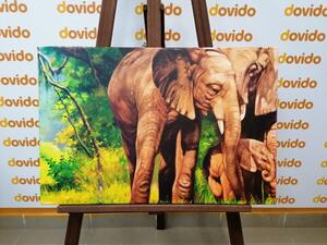 Obraz rodzina słoni