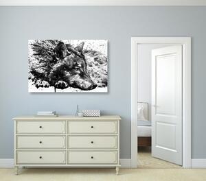 Obraz wilk w akwareli w wersji czarno-białej