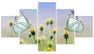 Obraz motyli na kwiatku (125x70 cm)