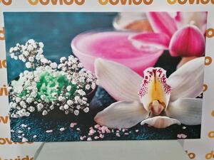 Obraz detale pięknej orchidei