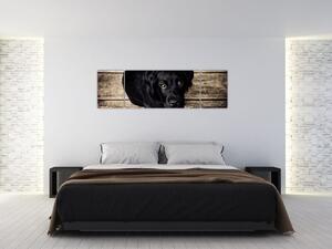 Obraz czarnego szczeniaka (170x50 cm)