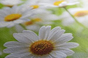Obraz wiosenna łąka pełna kwiatów