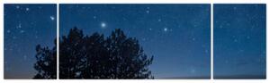 Obraz drzew w nocy (170x50 cm)