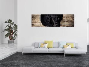 Obraz czarnego szczeniaka (170x50 cm)