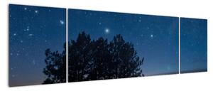 Obraz drzew w nocy (170x50 cm)