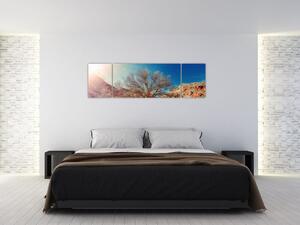 Obraz drzewa na pustyni (170x50 cm)