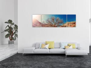 Obraz drzewa na pustyni (170x50 cm)