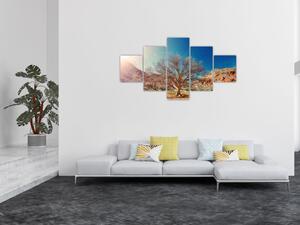 Obraz drzewa na pustyni (125x70 cm)